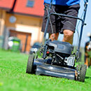 Gardening Maintenance